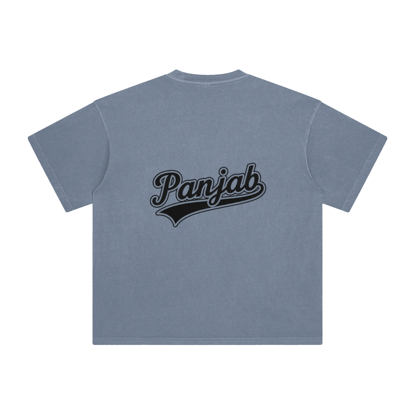 Panjab Varsity Washed T-Shirt