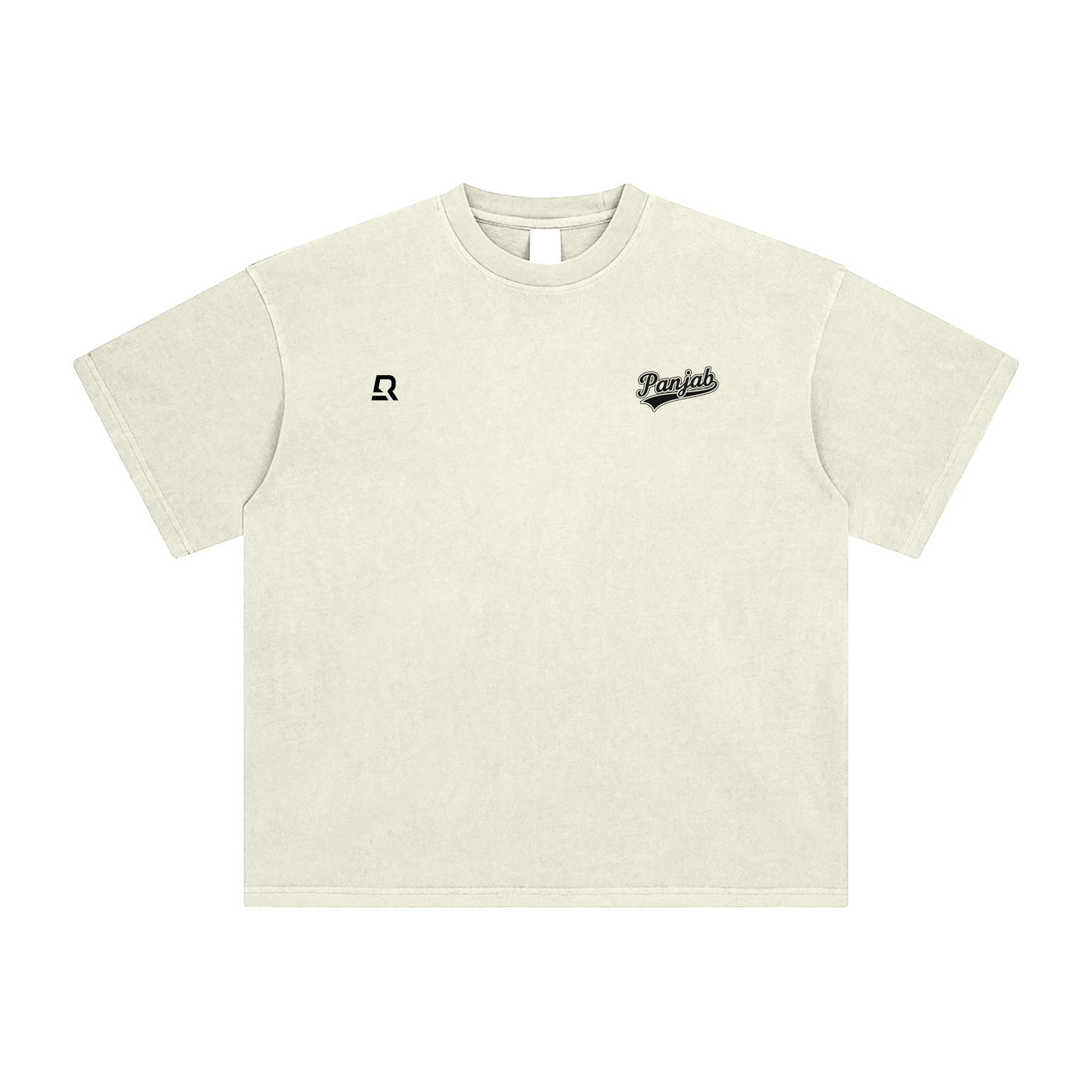 Panjab Varsity Washed T-Shirt