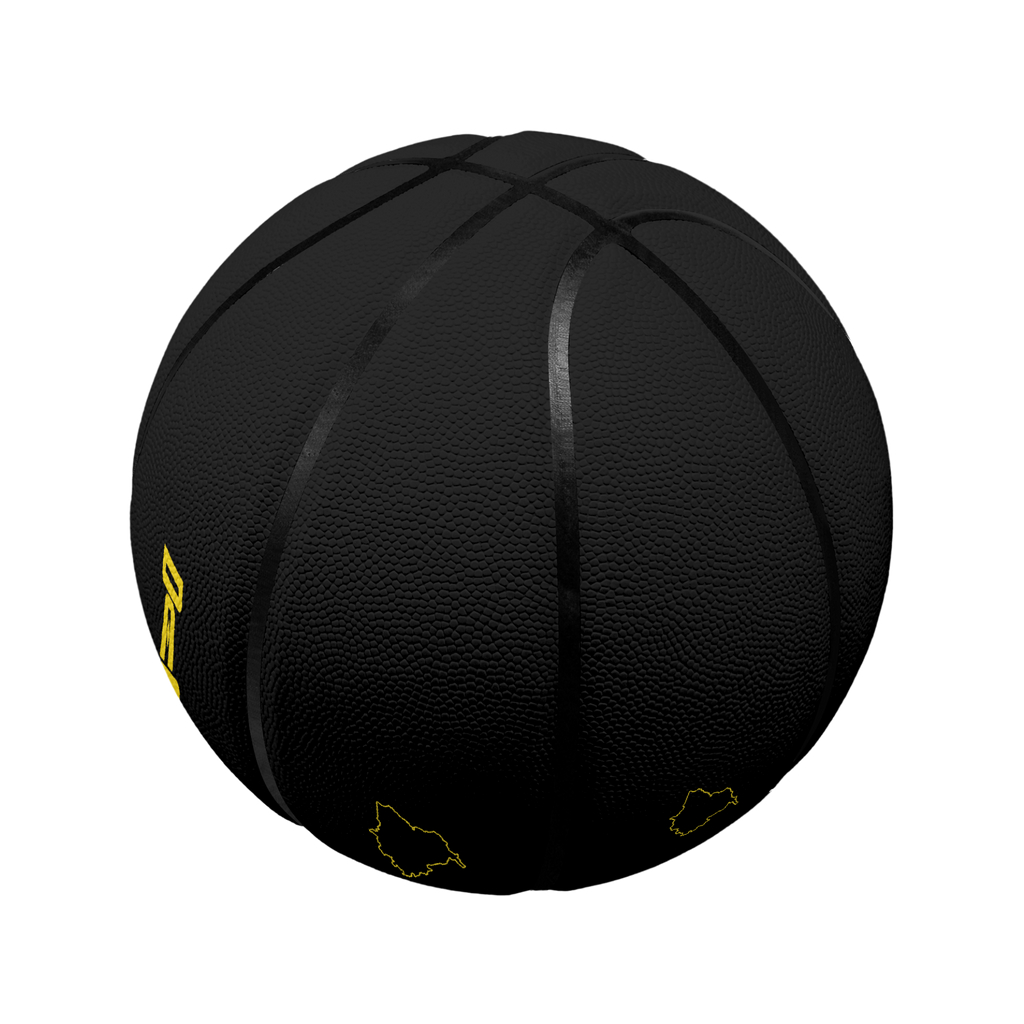 Desraj Panjab Basketball