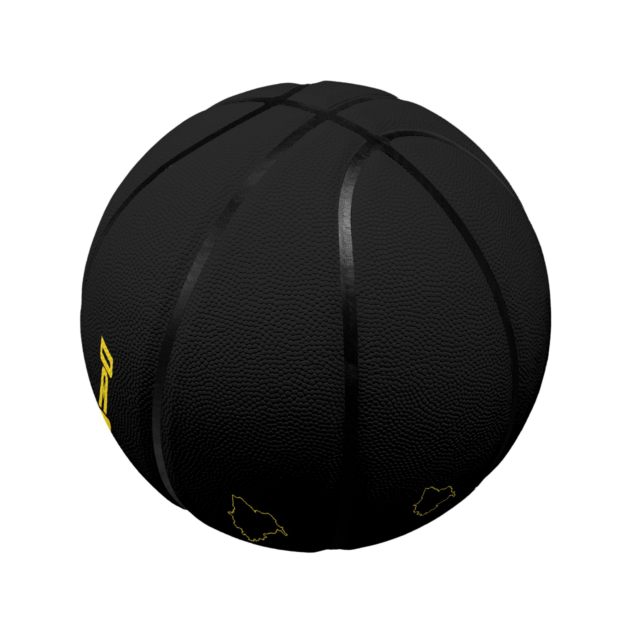 Desraj Panjab Basketball