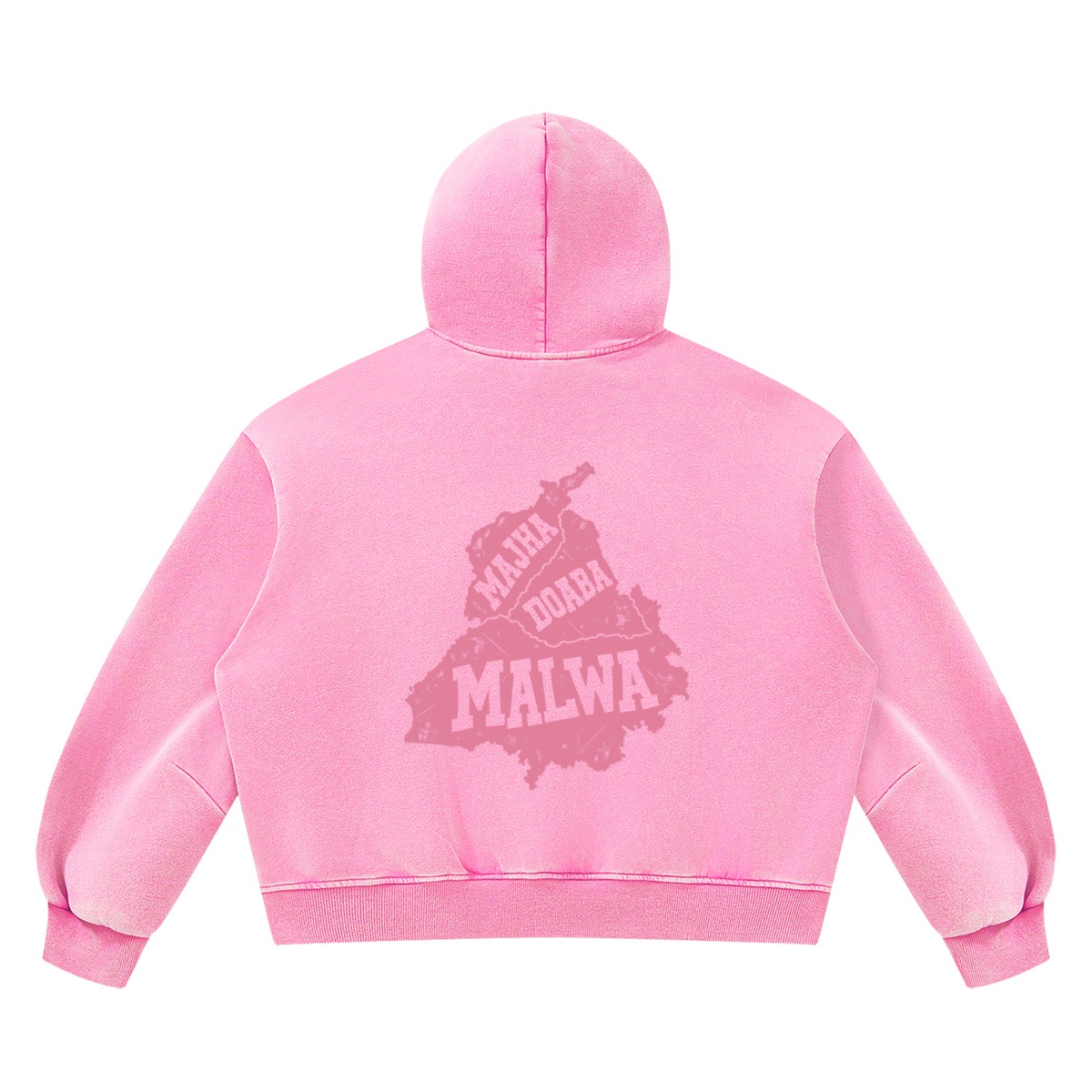 panjab,punjab,majha,malwa,doaba,hoodie