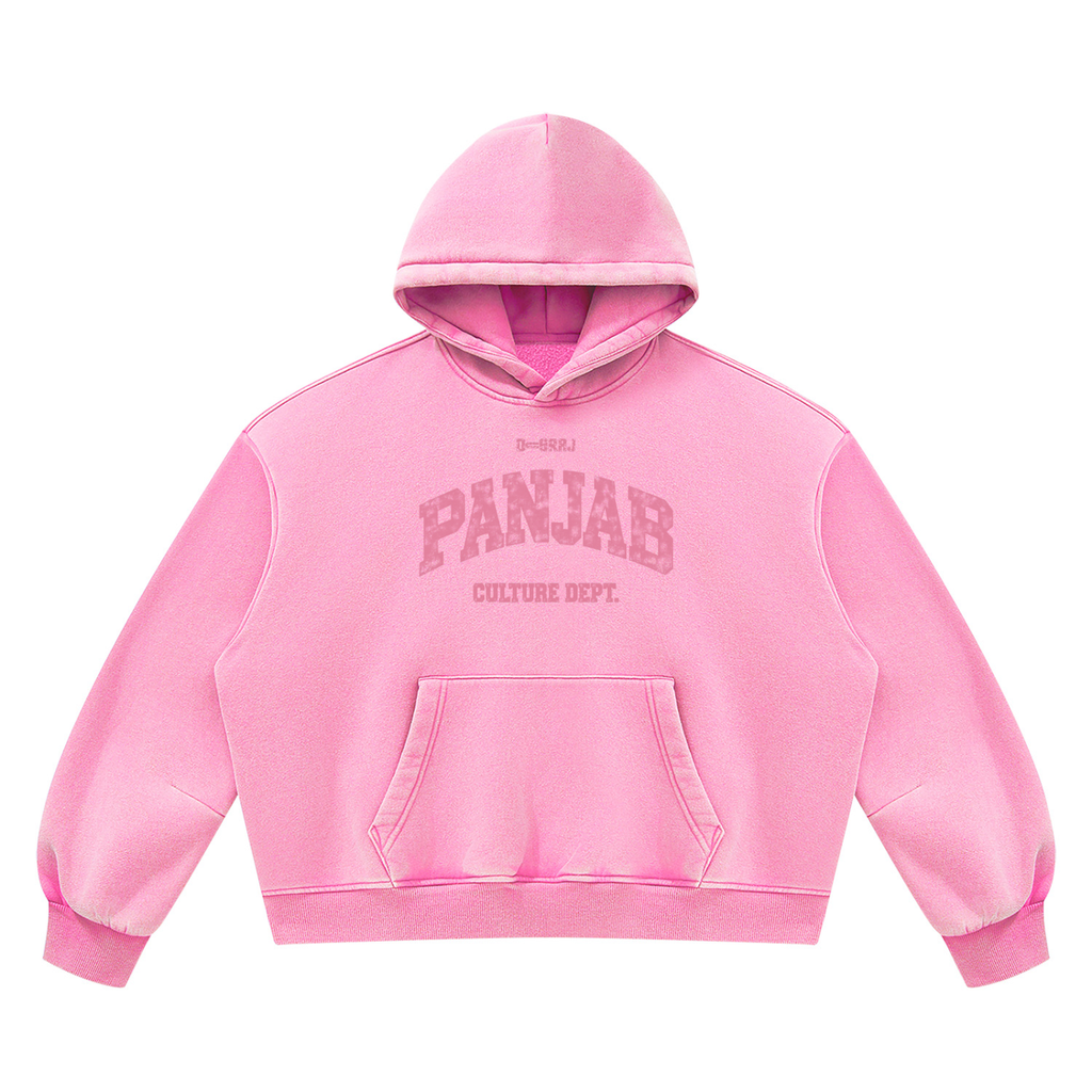 panjab,punjab,majha,malwa,doaba,hoodie