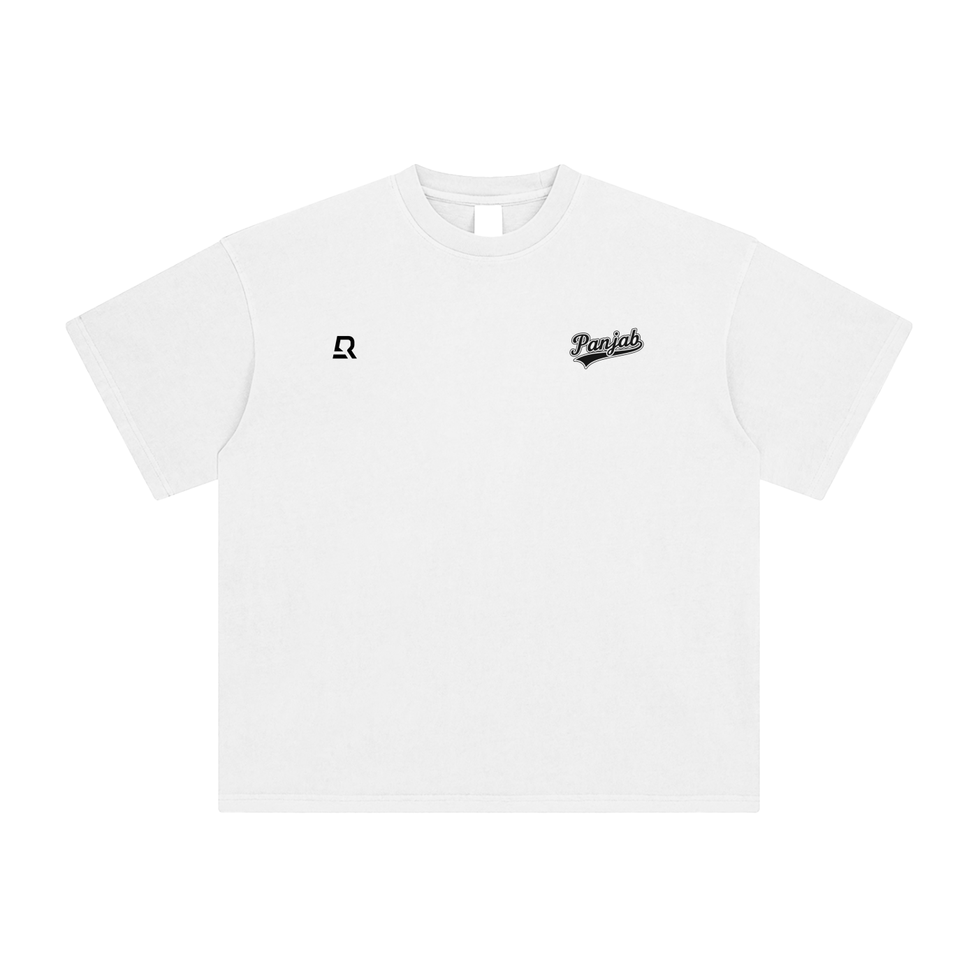 Panjab Varsity Washed T-Shirt