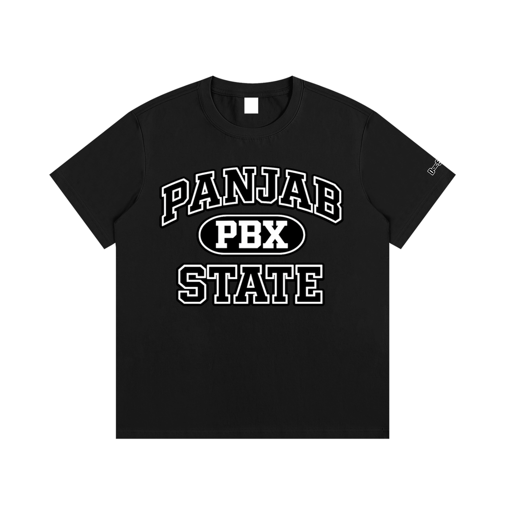 panjab,punjab