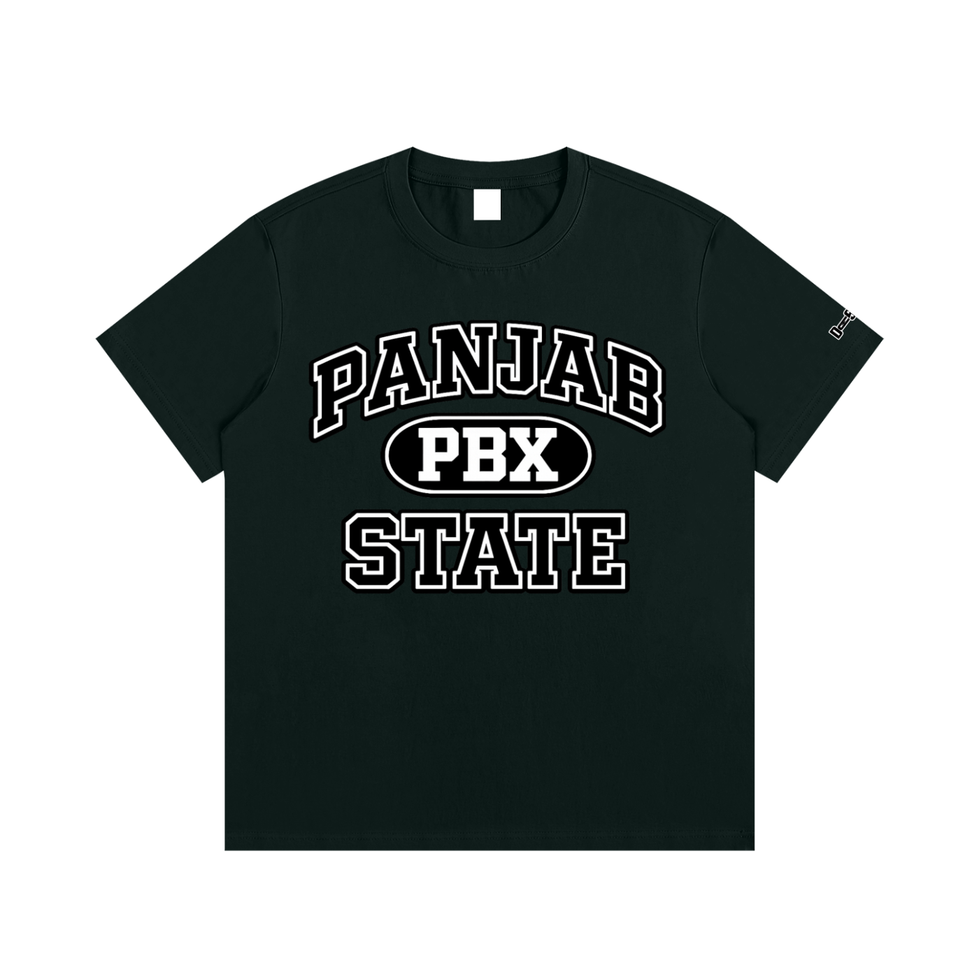 panjab,punjab