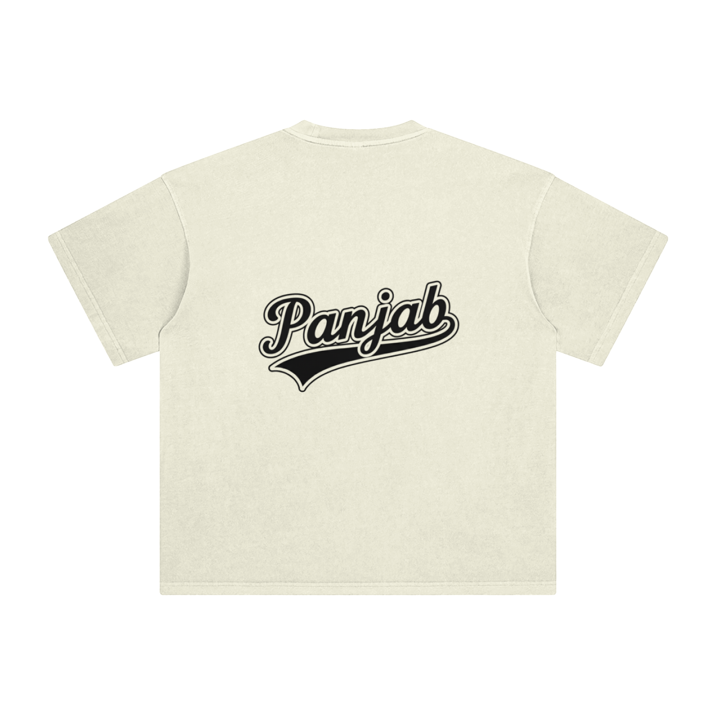 Panjab Varsity Washed T-Shirt