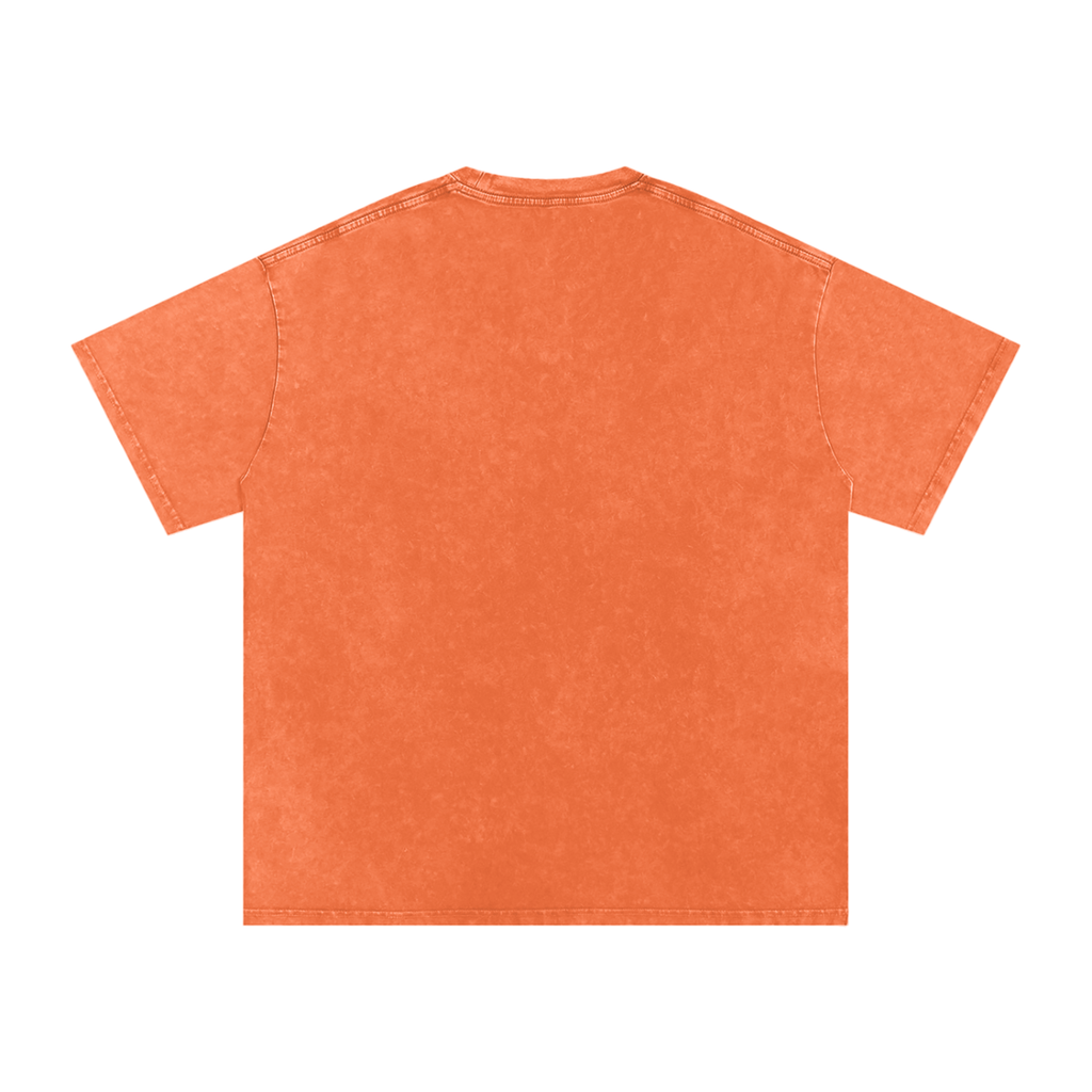 AMARJOT CHAMKILA Snow Washed Oversized T-Shirt